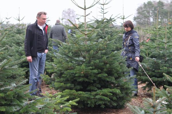 2015-12-20 14-05-20.JPG